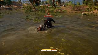 Assassins Creed Origins How to kill Phylakes [upl. by Zile84]