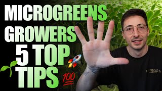 Top 5 Tips For Beginner Microgreen Growers 2024 [upl. by Ultan888]