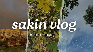 Sakin Vlog Ekim Ayı Son Günleri [upl. by Hedve]