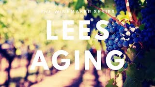 What is Lees Aging  Muscadet Sur Lie tasting [upl. by Eart]