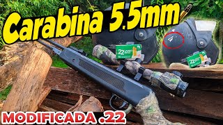 Um capacete te salvaria de um tiro de 22lr Tiro com Carabina 55mm modificada pra 22 [upl. by Hardej]