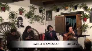 Templo Flamenco Antonio Reyes Con Paco Cepero Bulerias [upl. by Ayim]