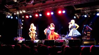 The Puppini Sisters  I Will Survive LIVE  Treibhaus IBK [upl. by Ignaz529]