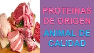 Proteinas De Origen Animal  Alimentos Con Proteinas [upl. by Saire]