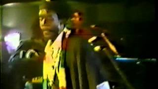 Peter Tosh  Hammer live Pulsar Starjam Kingston JA 12311983 [upl. by Nonarb]