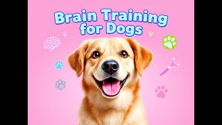 Transform Your Dogs Behavior with Brain Training Techniques [upl. by Milano]