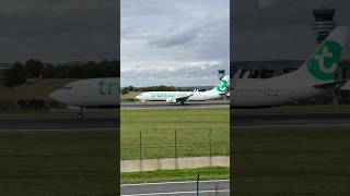 Transavia landing at Brussels aviation spotter boeing737 boeing b737 transavia brussels fyp [upl. by Erolyat355]