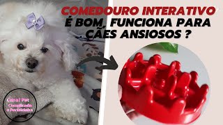 Review  Comedouro Interativo é Bom Funciona para Cães Ansiosos [upl. by Ahsitruc633]