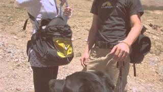 Climbing a Colorado fourteener with Mountainsmith [upl. by Atal]