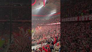 06112024 ❤️Südkurve München🤍 FC Bayern  Benfica Lissabon 10 Saison 202425 championsleague [upl. by Celinka]