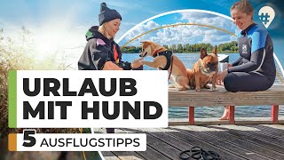 Urlaub mit Hund Unsere Top 5 Ausflugstipps  Doku Tiere amp Reisen  hinREISEND [upl. by Azirb]