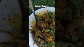 Kashmiri khatte Baingan Recipes 🍆😋 Wangan Recipe Brinjal  Eggplant with Curd  Eggplant Recipes [upl. by Adnama]