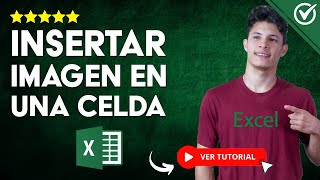 Cómo INSERTAR UNA IMAGEN EN UNA CELDA de Excel  🖼️ Sin la Función Imagen ⬜ [upl. by Ettedanreb561]