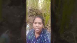 Patjhad main pattesong subscribemychannel anitakachhapofficial [upl. by Aloel972]