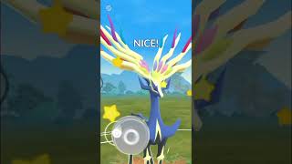 Xerneas vs Bilaboom in pokemongo subscribe like pokemon 100iv [upl. by Joycelin]