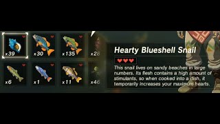 Hearty Blueshell Snail  Farming Location 1  Zelda BOTW [upl. by Llebpmac287]