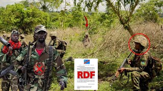 RDF IGISIRIKARE CYU RWANDA KINJIYE MURI CONGO GUHANGANA NA FDLR🚨IMYANZURO YO GUSENYA FDLR IRATANGIYE [upl. by Lonni]