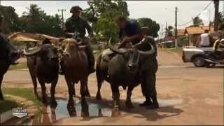 Des trains pas comme les autres Brésil Documentaire 2014 [upl. by Markson]