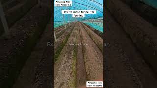 How to make tunnel for tunnel farming  Tunnel farming kelye Tunnel kasy banaya jay  Tunnel farm [upl. by Hux]