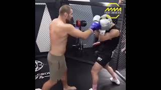 Sean Strickland destroys another sparring partnermmafightuniverse ufc mma seanstrickland sparin [upl. by Cis]