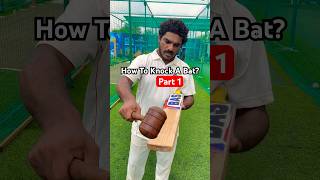 😍 How To Knock A Cricket Bat With Hammer 🏏 PART 1 shorts cricketshorts twocricketer [upl. by Yrtneg]