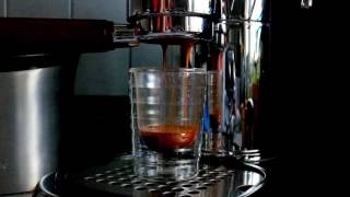 Espresso Shot Pulled on La Pavoni Professional [upl. by Yenial]