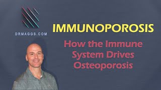 IMMUNOPOROSIS  How the Immune System Drives Osteoporosis [upl. by Tobye]