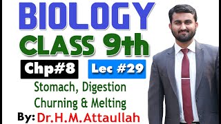 Stomach Digestion churning and melting  Chapter 8  9th class Biology  Lec 29 [upl. by Naillimixam157]