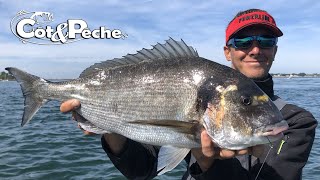 Pêche de la dorade royale avec Yoann Houssais [upl. by Akitan]