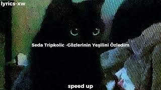 Seda Tripkolic Gözlerinin Yeşilini Özledim speed up [upl. by Mathis576]