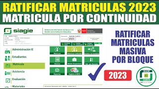 Siagie  Matricula POR CONTINUIDAD 2023  Matricular estudiantes del año 2022 al 2023 [upl. by Ytirahs]