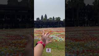 Angkor Sangkran 2023  3 Million heart paper [upl. by Emmons356]