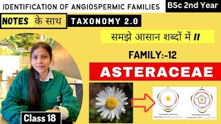 Asteraceae Family 🌻 Floral diagram and formulas  Taxonomy  Economic importance [upl. by Joanna]