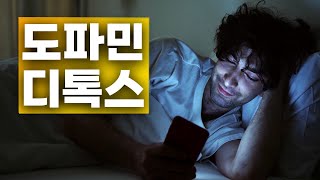 도파민 디톡스 이제는 정말 해야할 때 Dopamine Detox [upl. by Dranyer]