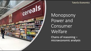 Monopsony Power and Consumer Welfare I A Level and IB Economics [upl. by Siegfried]