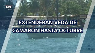 EXTENDERAN VEDA DE CAMARON HASTA OCTUBRE [upl. by Ecirtram92]