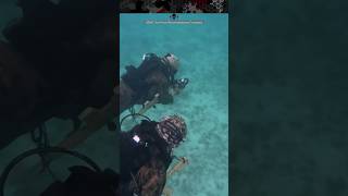 How Recon Marines Navigate Underwater with the TAC100 Compass Board [upl. by Glass]