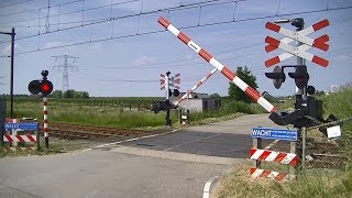 Spoorwegovergang Krabbendijke  Dutch railroad crossing [upl. by Aihtekal]