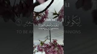 Quranic PearlsTimeless Wisdom Ancient Words of Wisdomshining power of Islam [upl. by Aleira]