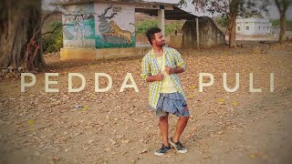 Pedda Puli Song  Chal Mohan Ranga  Dance By Ganesh Rajeshan [upl. by Aliek]