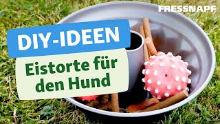 DIY für Hunde  Eistorte selber machen [upl. by Anirbaz]