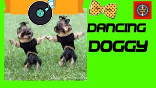 Dog dance video [upl. by Enellek]