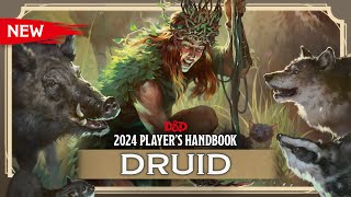 New Druid  2024 Players Handbook  DampD [upl. by Adolph]