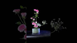 Flower arrangement tutorial for beginners插花花懿 [upl. by Arytas898]