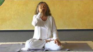 Anuloma and Pratiloma Viloma Variations  Yoga Breathing Exercises [upl. by Giark725]