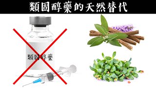 類固醇藥的最好替代法自然療法柏格醫生 Dr Berg [upl. by Norbert]