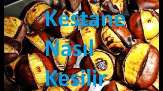 Kolay Açılan Kestane Nasıl Kesilir [upl. by Ateuqirne]