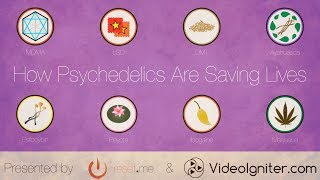 How Psychedelics Are Saving Lives [upl. by Amlas]