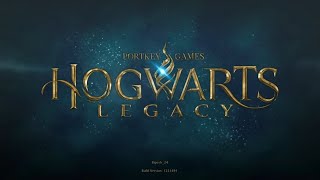 Hogwarts Legacy Gameplay Part 2 Stay tuned for more [upl. by Arac541]