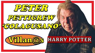 Villanos  Peter Pettigrew COLAGUSANO Harry Potter [upl. by Elhsa]